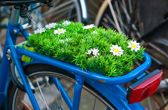 Kleine Fietstour Amsterdam